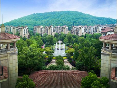 重磅！蜀山区稀缺纯洋房11月18日正式亮相，阔景雅奢人居礼献全城