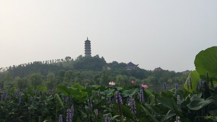 马鞍山市当涂县提署中路 便利生活与城市繁华的交汇点