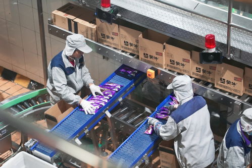 蒙牛乳业携手马鞍山，驱动绿色食品产业迈向新征程