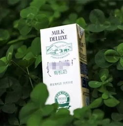 有机食品价格高企，马鞍山美食广场热议 是健康投资还是消费泡沫？